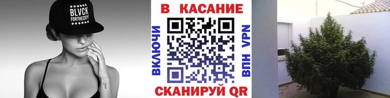 Сколько стоит Суджа COCAIN  Меф  KRAKEN зеркало  ГАШ  Псилоцибиновые грибы 