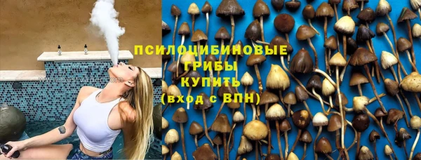 дурь Алексин