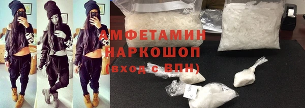 сатива Покачи