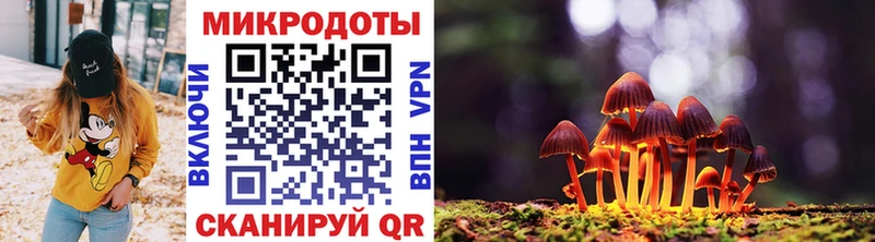 Псилоцибиновые грибы мицелий  Суджа 